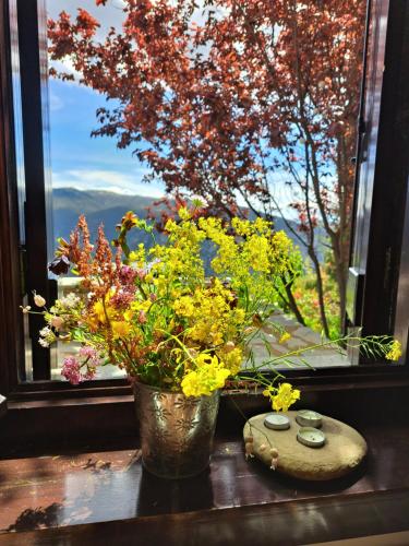 Winter Breeze, Arachova (foto 5)