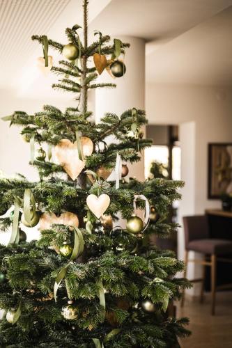 Hotel Mitterplatt (Schenna Resort)