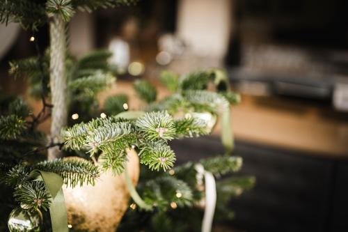 Hotel Mitterplatt (Schenna Resort)