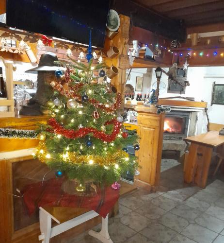 Pension Drevenka in Harrachov