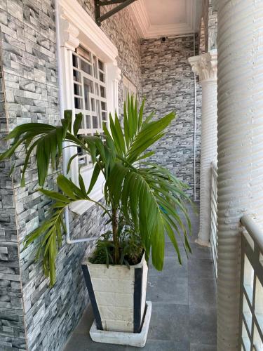 Grumpy Awa in Serekunda