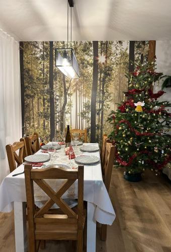 Apartmany Cernak - Dolnak - 4-6 osob, terasa, grill, dve parkovaci mista in Cerny Dul