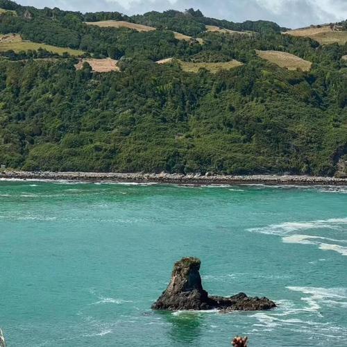 . Cabaña Mirador de ballenas,Chiloé