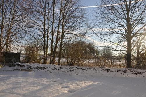 Frankfurt Bed & Breakfast - image 10