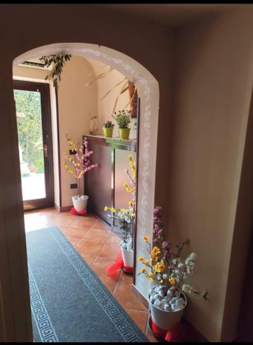 I Giardini Di Eidos - image 11