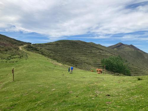 Sports and activities, Casa rural Espinareu in Pilona