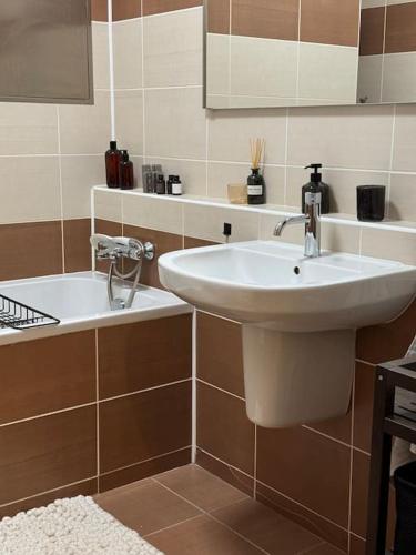 Atrium Apartment in สเลซสกา ออสตราวา