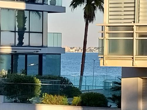 景觀, Palm beach Cannes La Brise in 龐特夸塞特