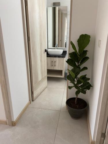 Bonito departamento en San Andres in Tlaxcalancingo, Mexico