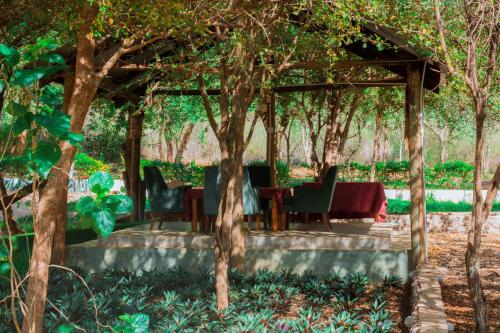 Ēdiens un dzērieni, Mkomazi Hotels and Camp Sites in Usangi
