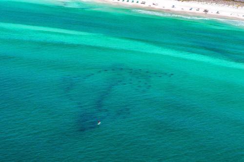 Ariel Dunes I 1502 by RealJoy Vacations - image 10