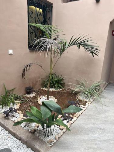 Villa M à Marrakech