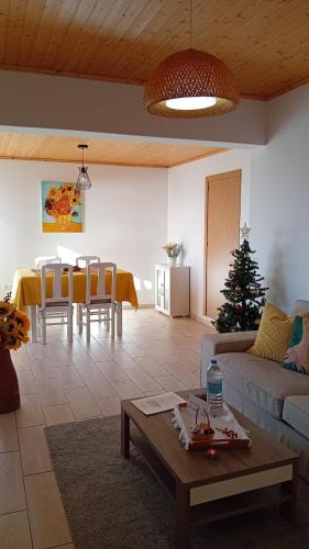 บริการและสิ่งอำนวยความสะดวก, Sunflower Guest House - Madalena - Pico in เซา กาเอตาโน