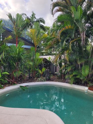 Oasis on Nautilus - Port Douglas