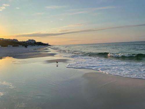 Last Call at NatureWalk 30A, Seagrove Beach (zdjęcie 2)