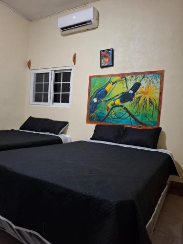 zazil ha in El Remate