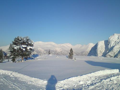 Eidsdal Camping og Feriehus