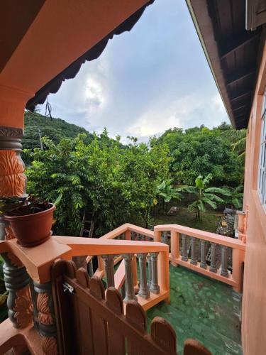 สภาพแวดล้อมโดยรอบ, The Jungle Escape Apartment 02 in ฌาลูสล์