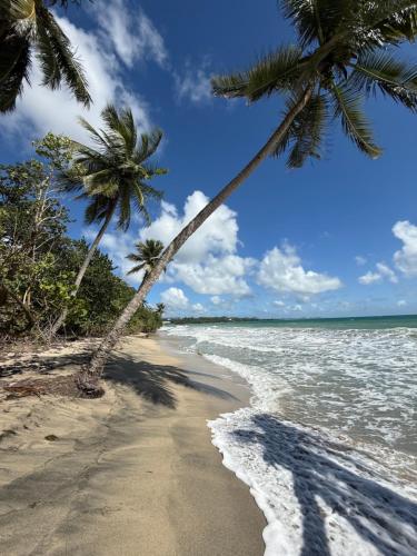 Diamant Beach Studio Diamant Beach Studio