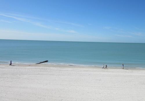 Trillium #2C - image 11