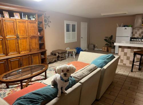 Comfy and Cozy Room in Lake Elsinore, USA
