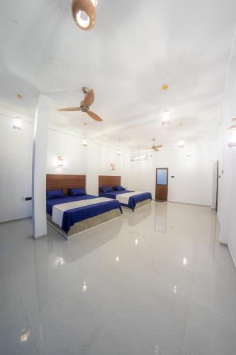 2 king beds, 2 twin beds