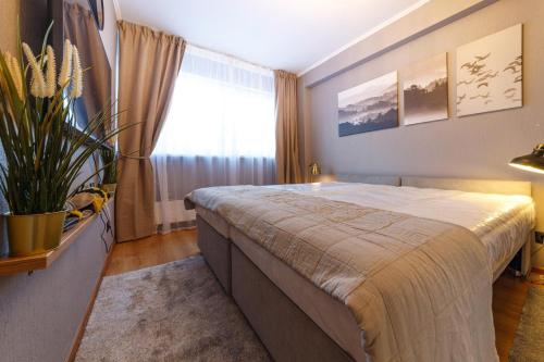 One-Bedroom Apartment image 5
