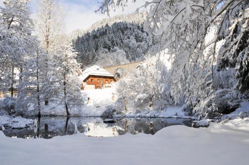 Hotel Hofgut Sternen - Ravennaschlucht in Breitnau