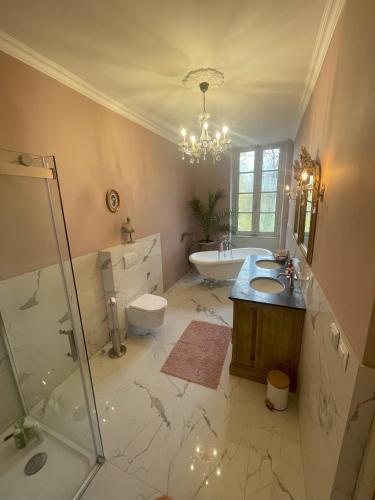 Chateau du Grand Lucay in Agonges