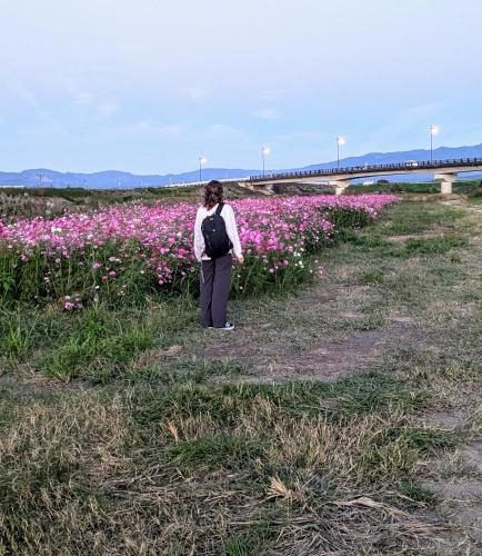 民泊サライ七城