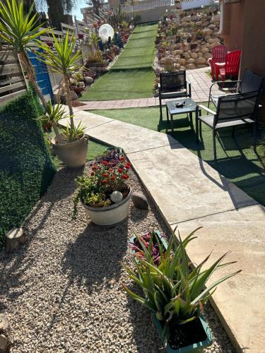 סוויטות עין השמש eye sun in Arad