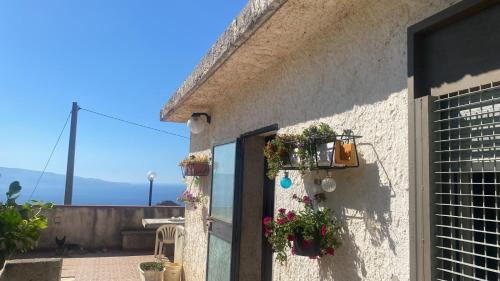 Stanza sotto il Ficus gîte à louer Pezzolo