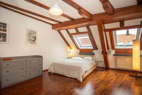 Penthouse in Basel Center with free BaselCard, Basel (Foto 2)