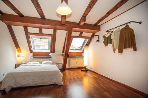 Penthouse in Basel Center with free BaselCard, Basel (Foto 7)