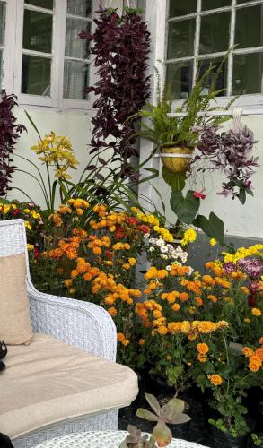 11 Monteviot: Luxury homestay overlooking a tea estate in เคอร์ซอง