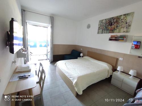 Coccinella in Sabaudia