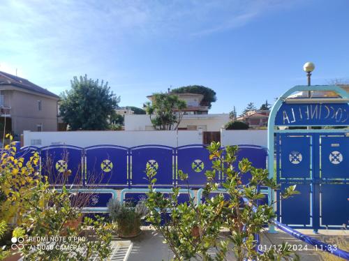 View, Coccinella in Sabaudia