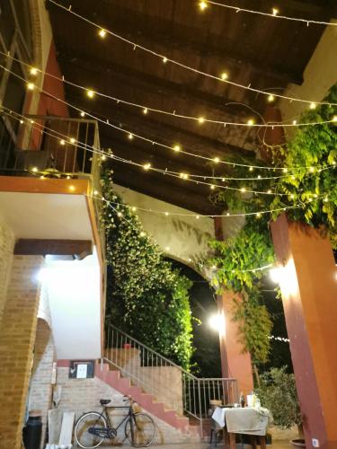 Agriturismo La Fattoria Del Boschetto - 전망