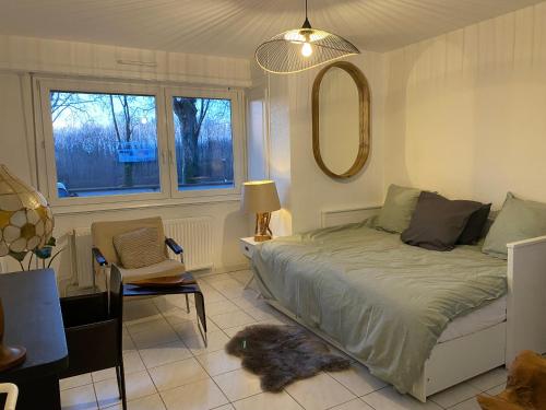 Studio Cosy Illkirch, Strasbourg (photo 8)