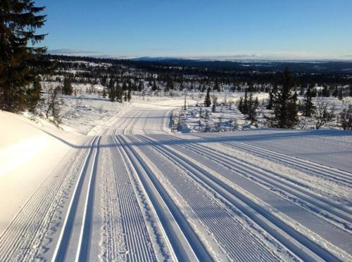 Cabin at Sjusjøen Birkebeiner trail ski in out, 8 beds, 2 bathrooms & Wifi in ชูเชิน