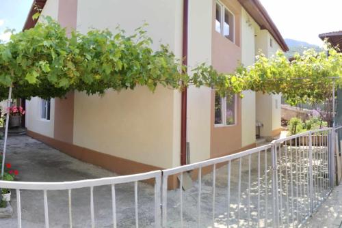 Villa BITKOSKI Pestani in Peshtani