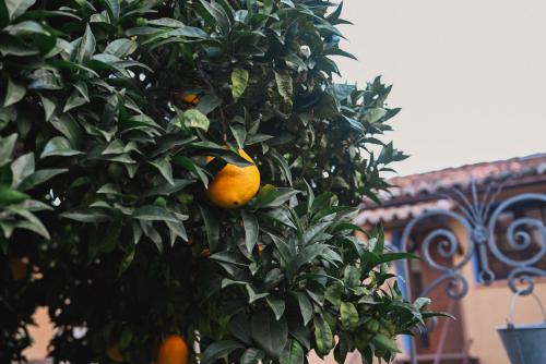 Apartamentos El Pozo 2 in 拉維拉新鎮