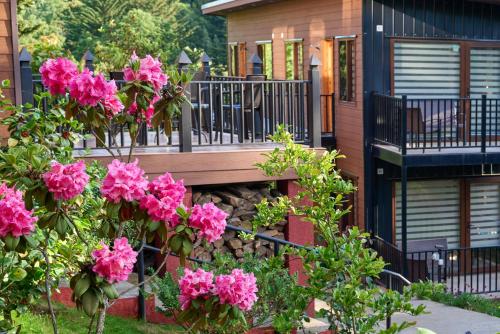 Mirabosque aparment Ejecutivos 6, Osorno