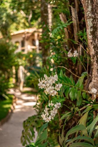 620983240 Hotel Boutique Bahia Bonita