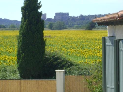 Hotel des Granges - image 6