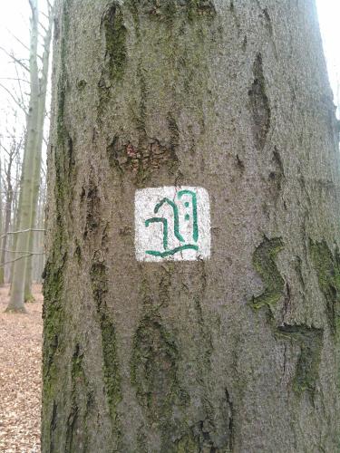 Landhotel Possendorf - image 5