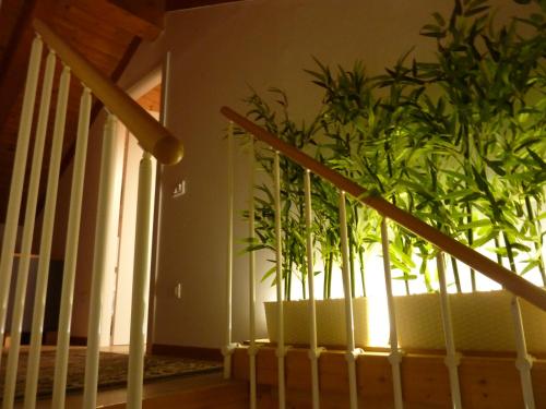 Casa Yami - image 11