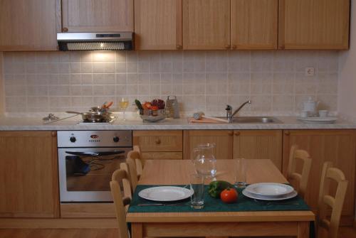 廚房, 斯尼納克拉吉卡公寓式酒店 (Aparthotel Snjezna Kraljica) in 馬克西米爾