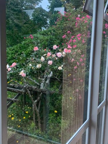 double room in هالف مون باي