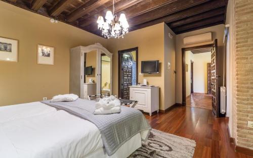 Palacio de Mariana Pineda - image 12